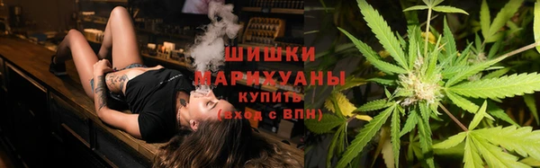 трава Пересвет