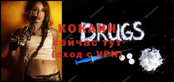 ешки Бородино