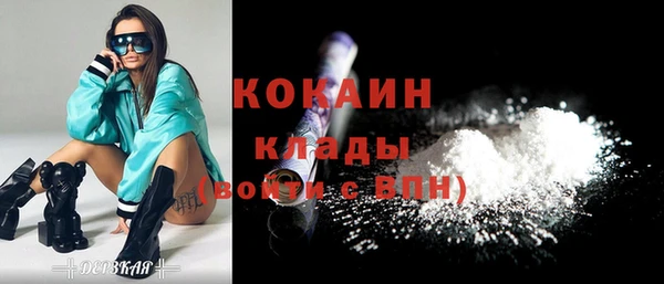 ешки Бородино
