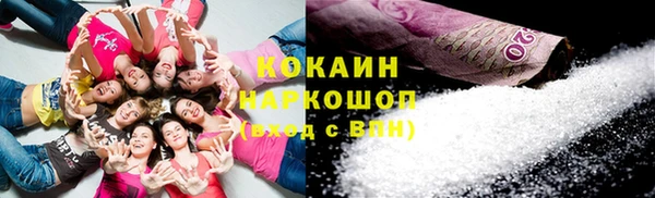 ешки Бородино