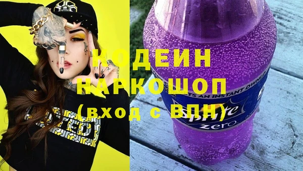 ешки Бородино