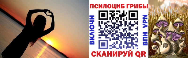 Галлюциногенные грибы Psilocybe Балашиха