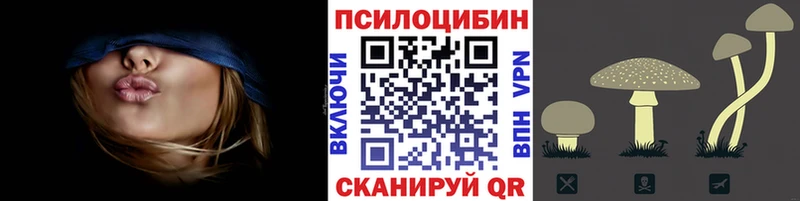 цены   OMG зеркало  Псилоцибиновые грибы GOLDEN TEACHER  Балашиха 